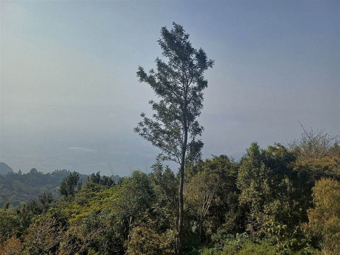 Yercaud hill station view from Salem